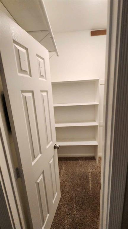 4101 Esters Road, Unit 111 Irving, TX 75038 - Photo 27 of 34 a view of closet