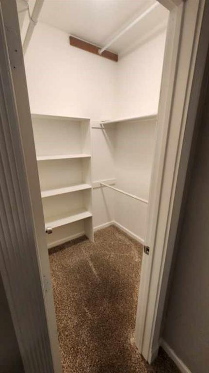 4101 Esters Road, Unit 111 Irving, TX 75038 - Photo 28 of 34 a view of walk in closet with empty racks