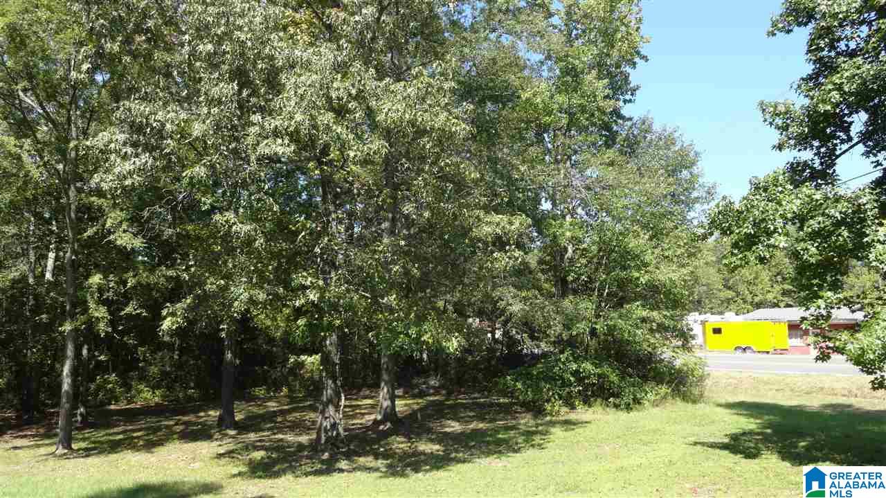 22 Nearest Lane Columbiana, AL 35051 - Photo 4 of 9