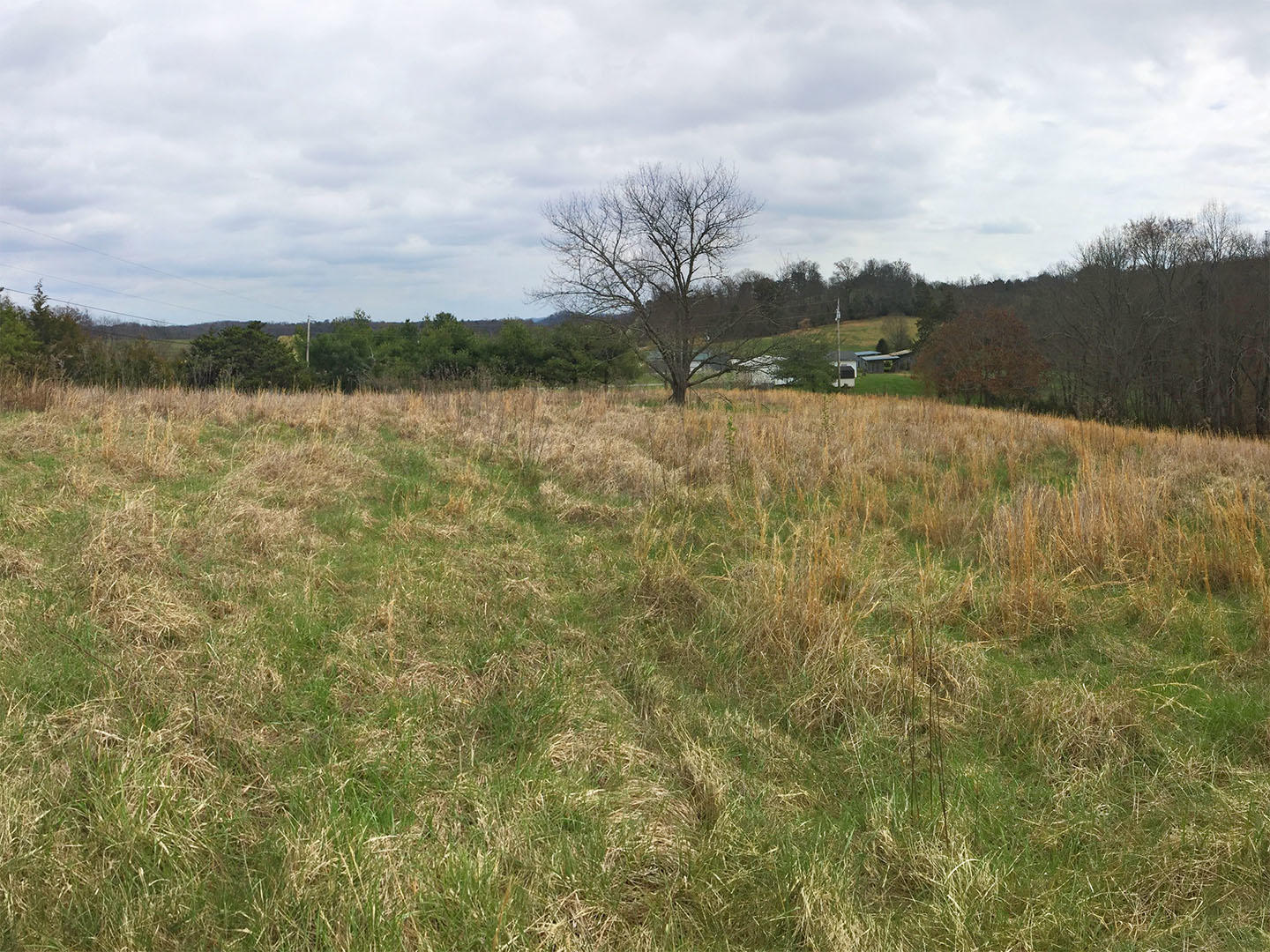 405 Chilton Road Newport, TN 37821 - Photo 2 of 14 2