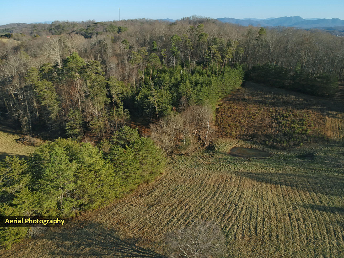 405 Chilton Road Newport, TN 37821 - Photo 13 of 14 11