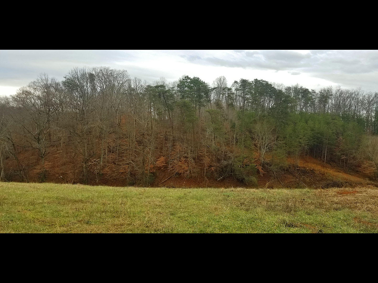 405 Chilton Road Newport, TN 37821 - Photo 14 of 14 14