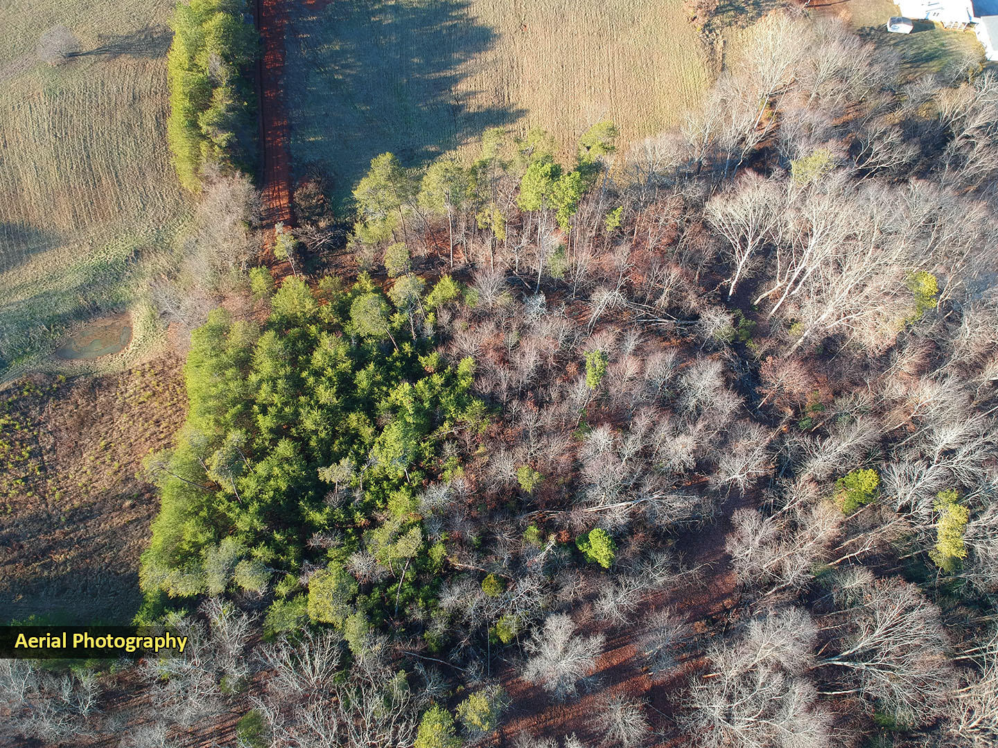 405 Chilton Road Newport, TN 37821 - Photo 10 of 14 8c