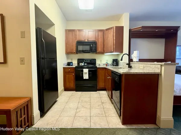 $24,000 | 62 Liftside Drive, Unit 332334, Hunter, NY 12442