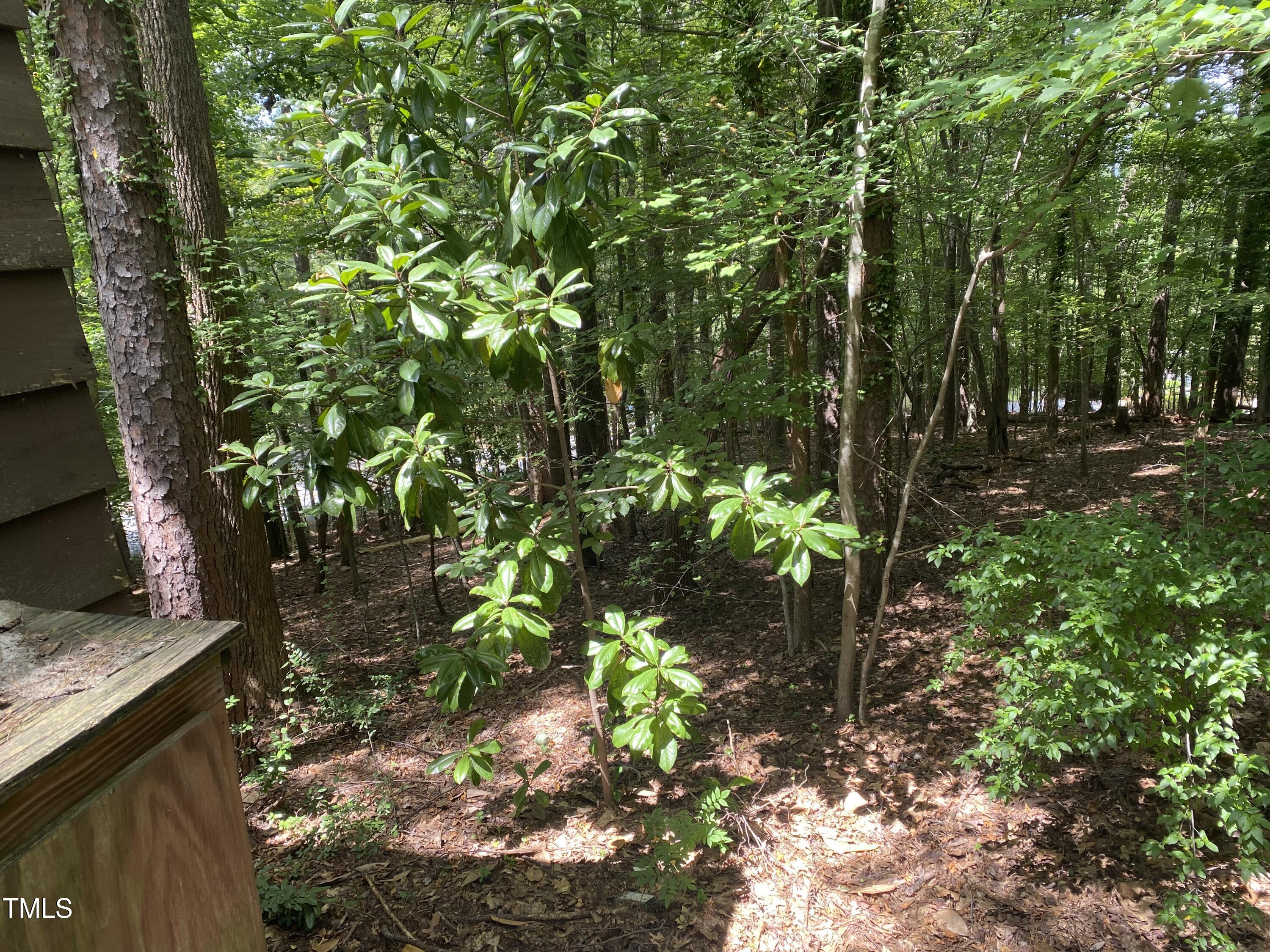 412 North Elliott Road Chapel Hill, NC 27514 - Photo 11 of 15 a backyard of a house with lots of green space