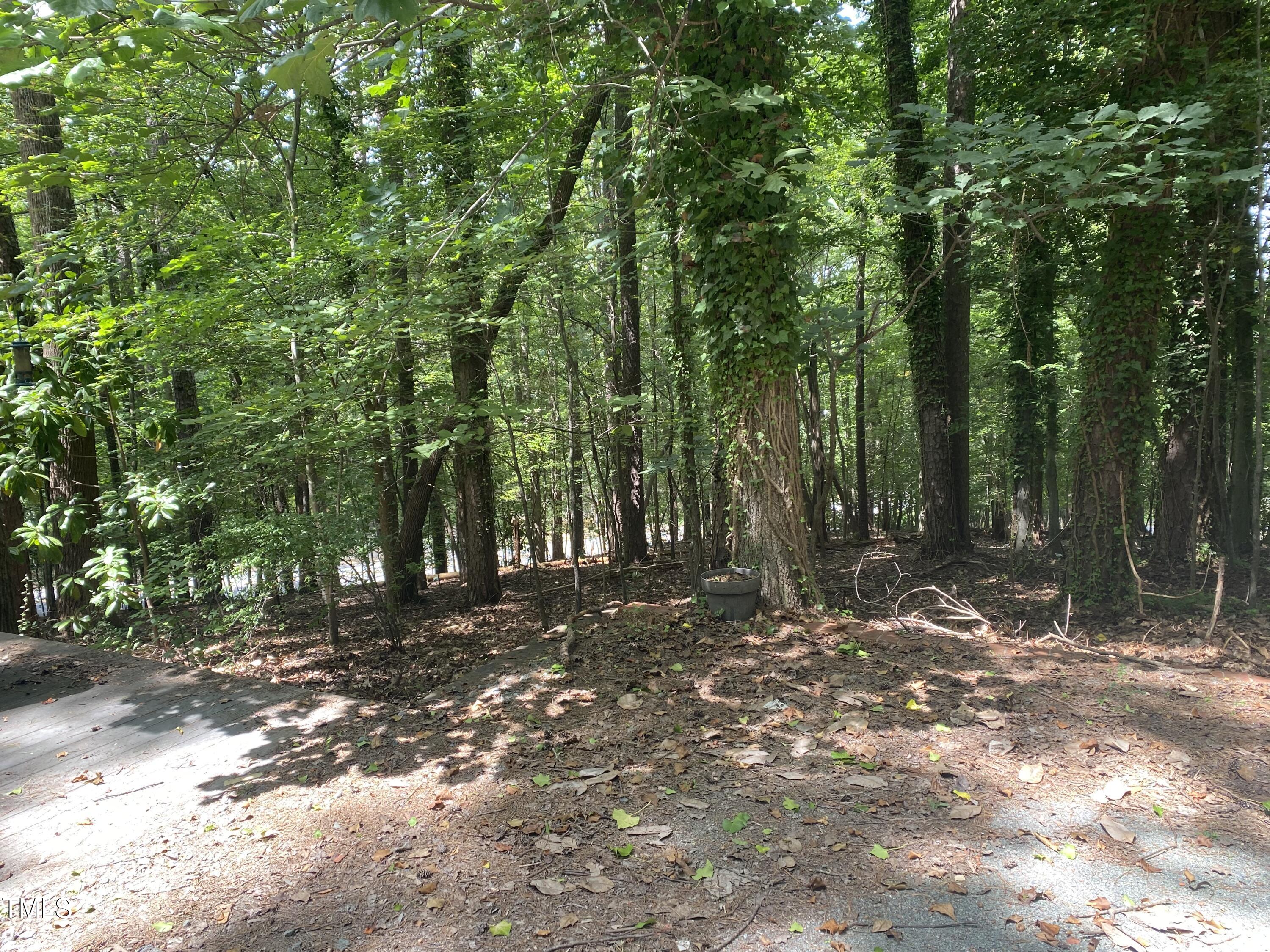 412 North Elliott Road Chapel Hill, NC 27514 - Photo 12 of 15 a backyard of a house with lots of green space