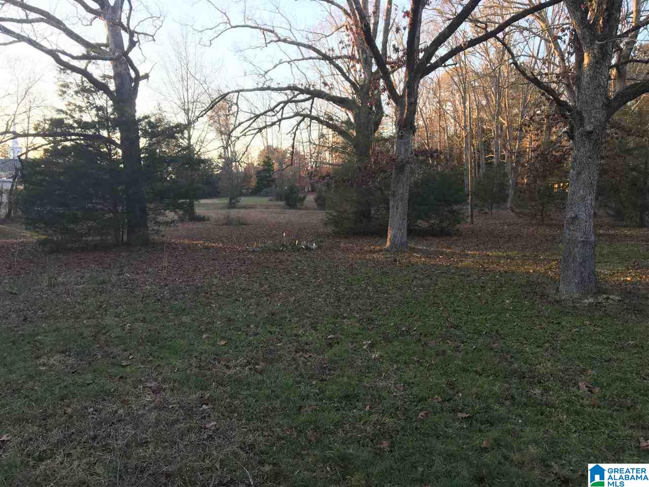 169 Saddle Club Road Jacksonville, AL 36265 - Photo 4 of 12