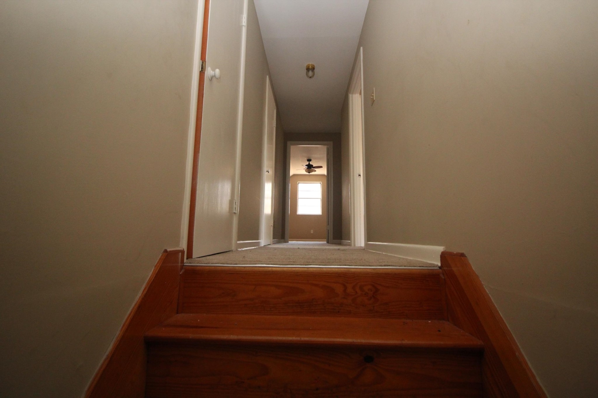 1305 Cherry Road Memphis, TN 38117 - Photo 10 of 40