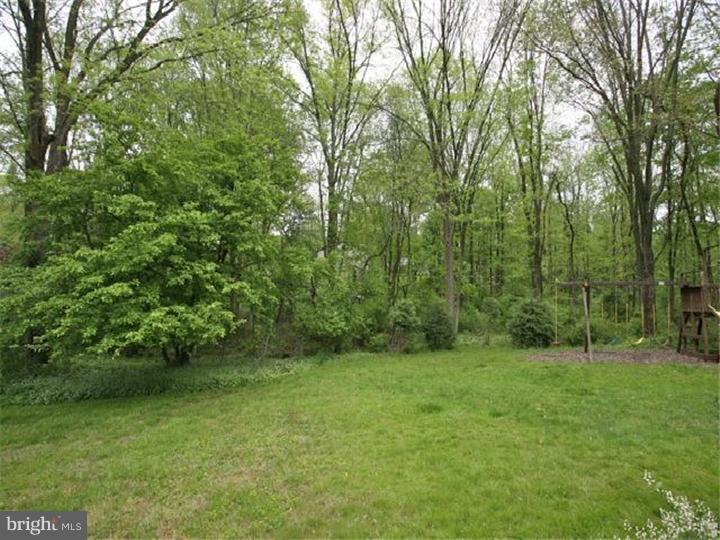 162 Mathers Road Ambler, PA 19002 - Photo 23 of 23 View in Back