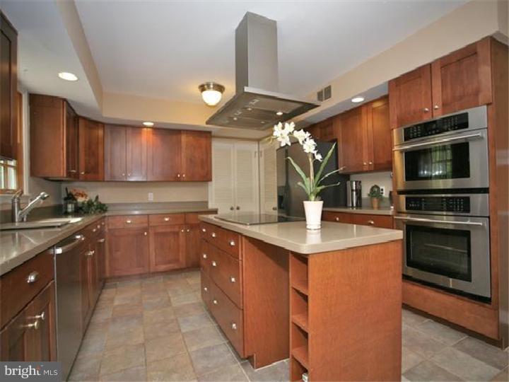 162 Mathers Road Ambler, PA 19002 - Photo 6 of 23 Kitchen