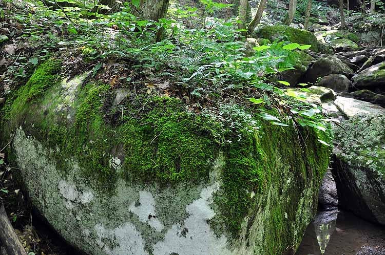 100 Ramp Road Sandstone, WV 25985 - Photo 32 of 55 Gallery Image 32