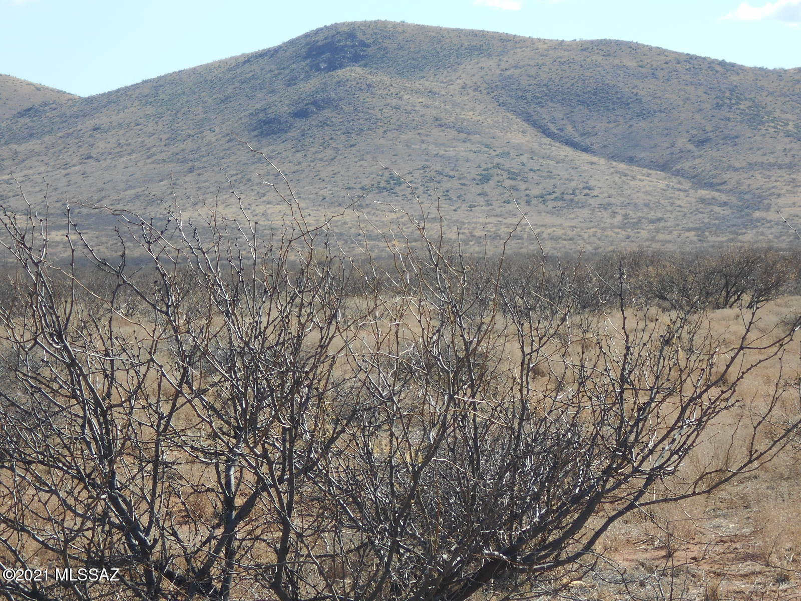 Grimmett Road Pearce, AZ 85625 - Photo 2 of 41 Gallery Image 2