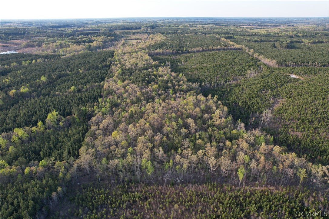 6851 Cox Road Wilsons, VA 23894 - Photo 15 of 50 an aerial view of forest