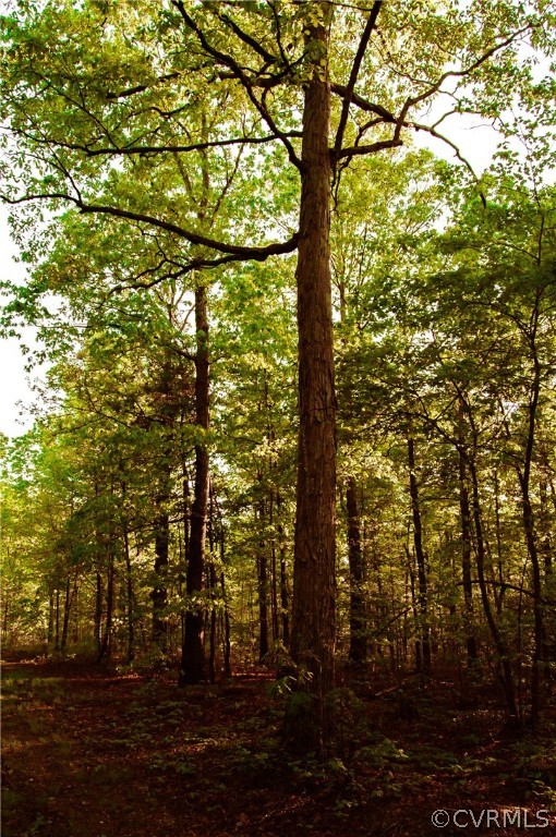 6851 Cox Road Wilsons, VA 23894 - Photo 24 of 50 a view of a yard