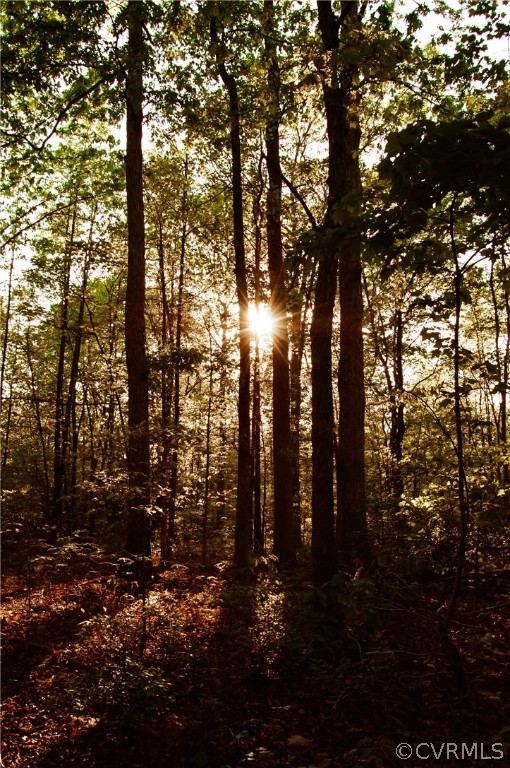 6851 Cox Road Wilsons, VA 23894 - Photo 26 of 50 a view of trees and tree