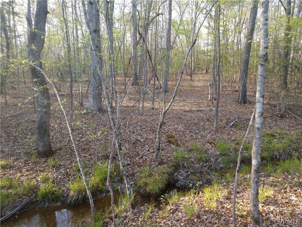 6851 Cox Road Wilsons, VA 23894 - Photo 32 of 50 a view of a forest with a bench and trees