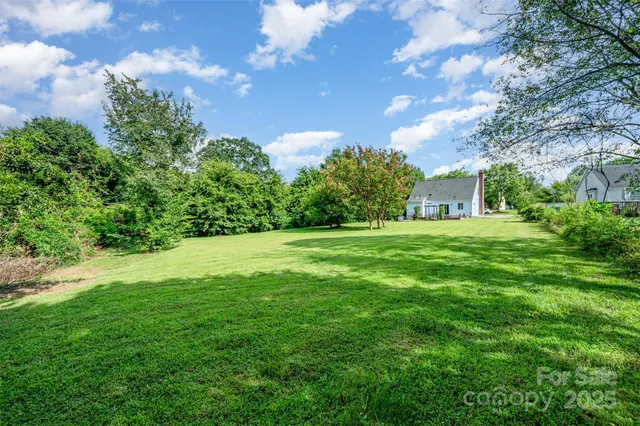 a backyard of a house with plants and large tree