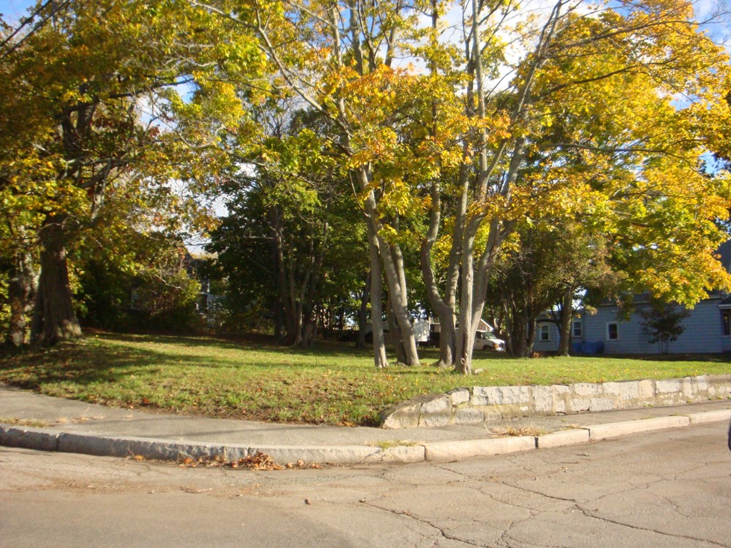 a view of a yard in front of a house