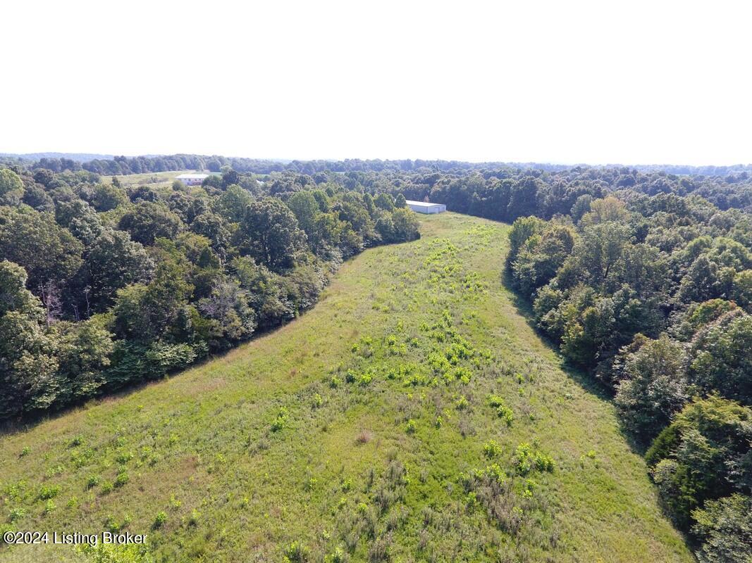 783 Lawrence Hayes Road Caneyville, KY 42721 - Photo 131 of 149 783 LH aerial29