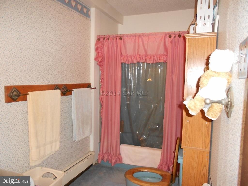 9240 Croppers Island Road Newark, MD 21841 - Photo 12 of 19 a bathroom with a shower curtain and a sink