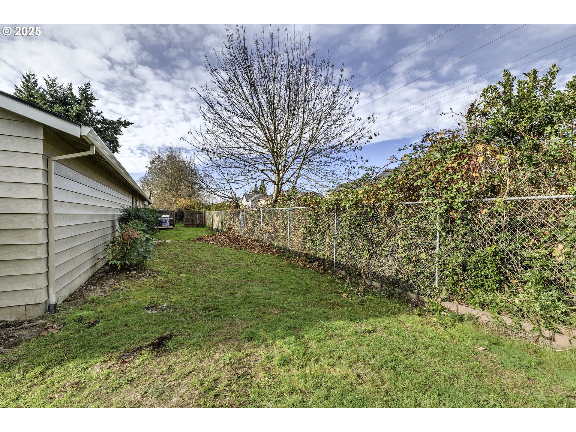 2724 North Davis Court Cornelius, OR 97113 - Photo 24 of 26 a backyard of a house with lots of green space