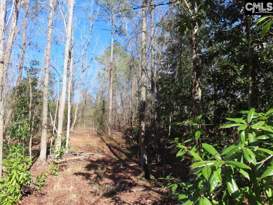 0 Rion Road Winnsboro, SC 29180 - Photo 26 of 42