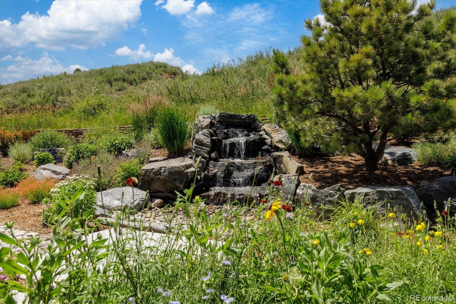4837 Hogback Ridge Road Morrison, CO 80465 - Photo 35 of 40 a backyard of a house with lots of green space