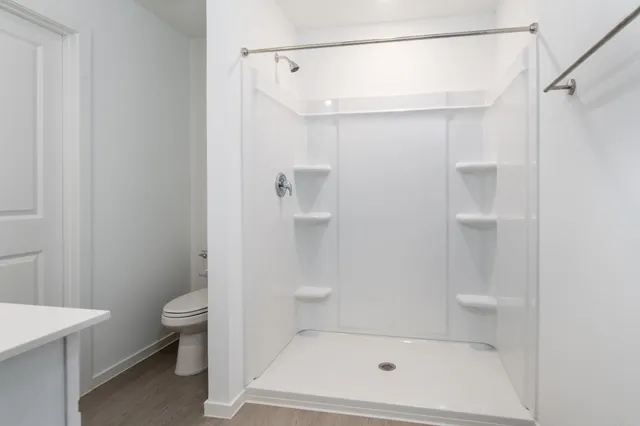 a bathroom with a shower and a toilet
