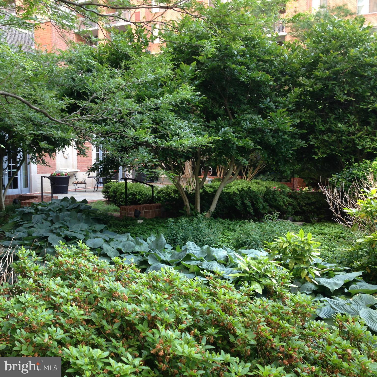 11710 Old Georgetown Road, Unit 1213 North Bethesda, MD 20852 - Photo 2 of 15 a view of a garden with plants