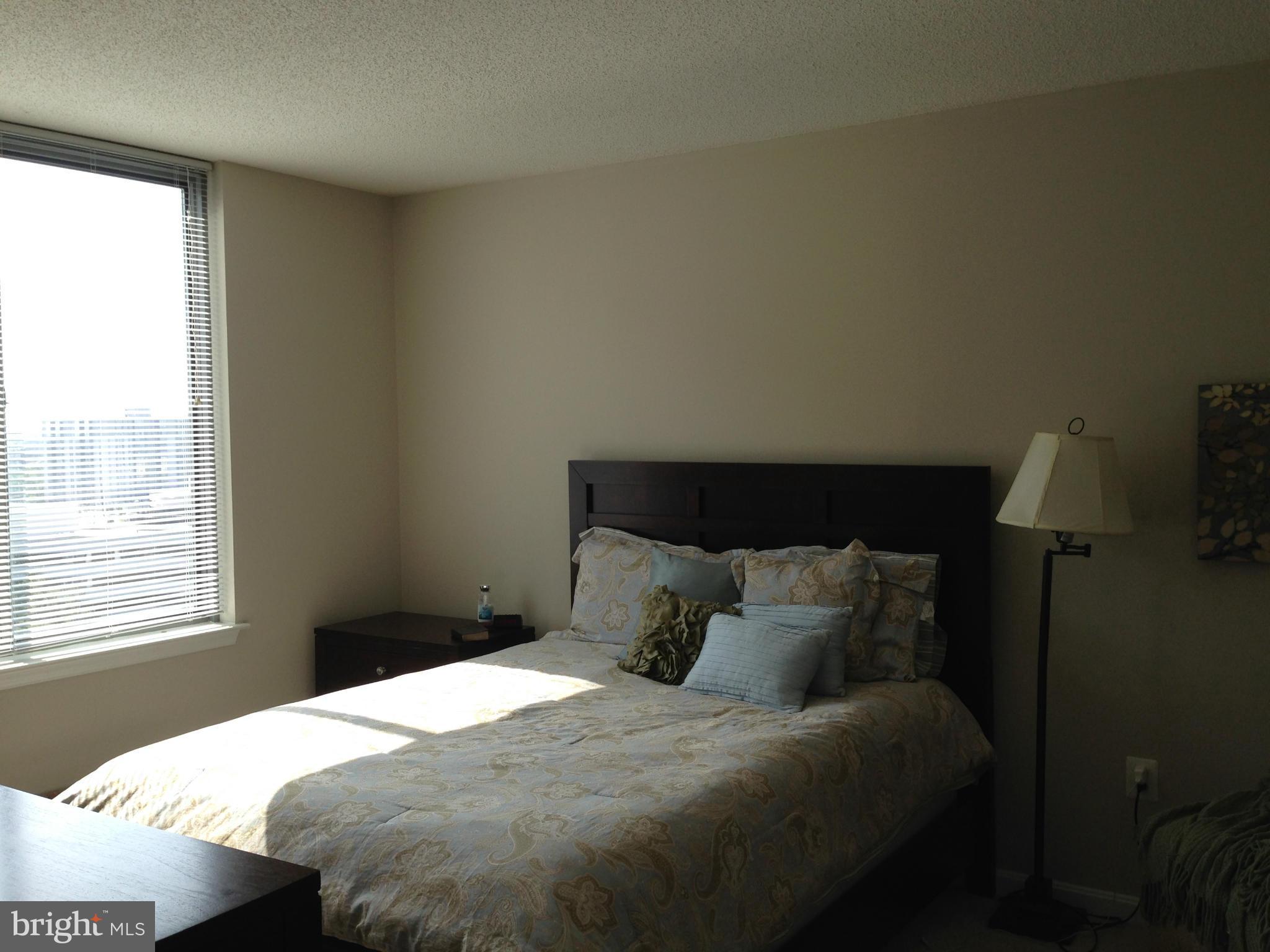 11710 Old Georgetown Road, Unit 1213 North Bethesda, MD 20852 - Photo 10 of 15 a bedroom with a bed and window