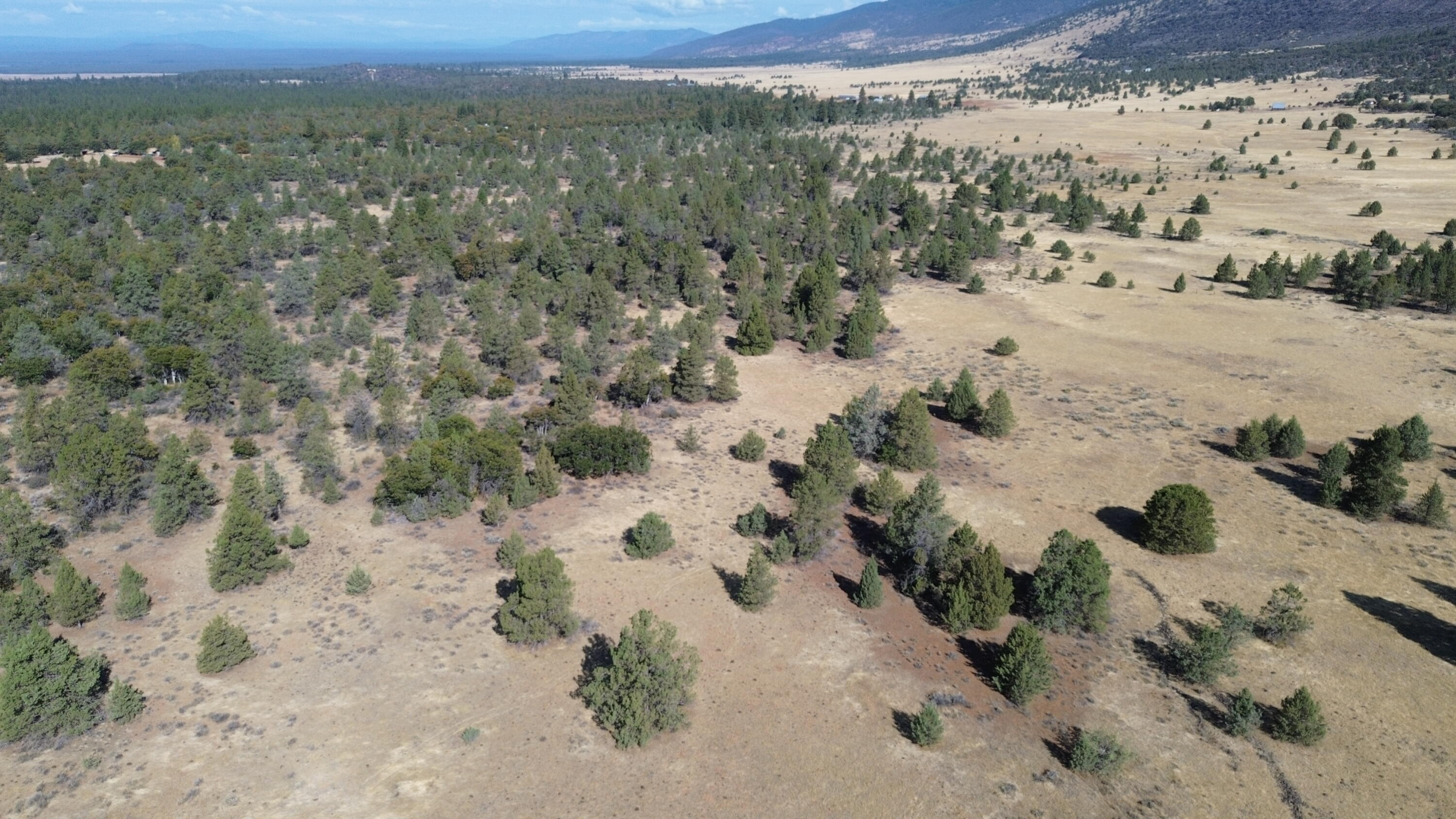 Nsa Old Hwy Road McArthur, CA 96056 - Photo 17 of 21 DJI_0406
