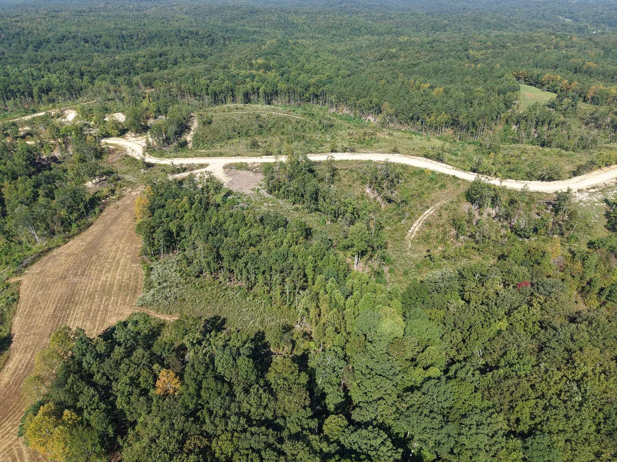 2026 Low Gap Road Sugar Tree, TN 38380 - Photo 8 of 19 Gallery Image 8