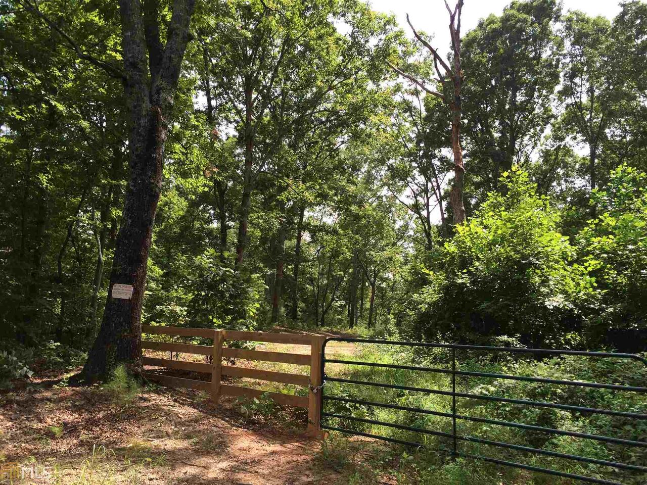 0 Damascus Road Ball Ground, GA 30143 - Photo 1 of 1 Gallery Image 1