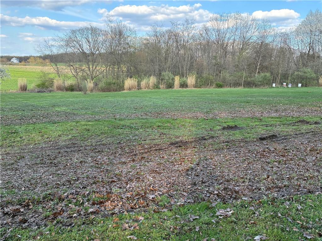 Lot N North Dutchtown Road Butler, PA 16002 - Photo 3 of 4 a view of a yard with a house