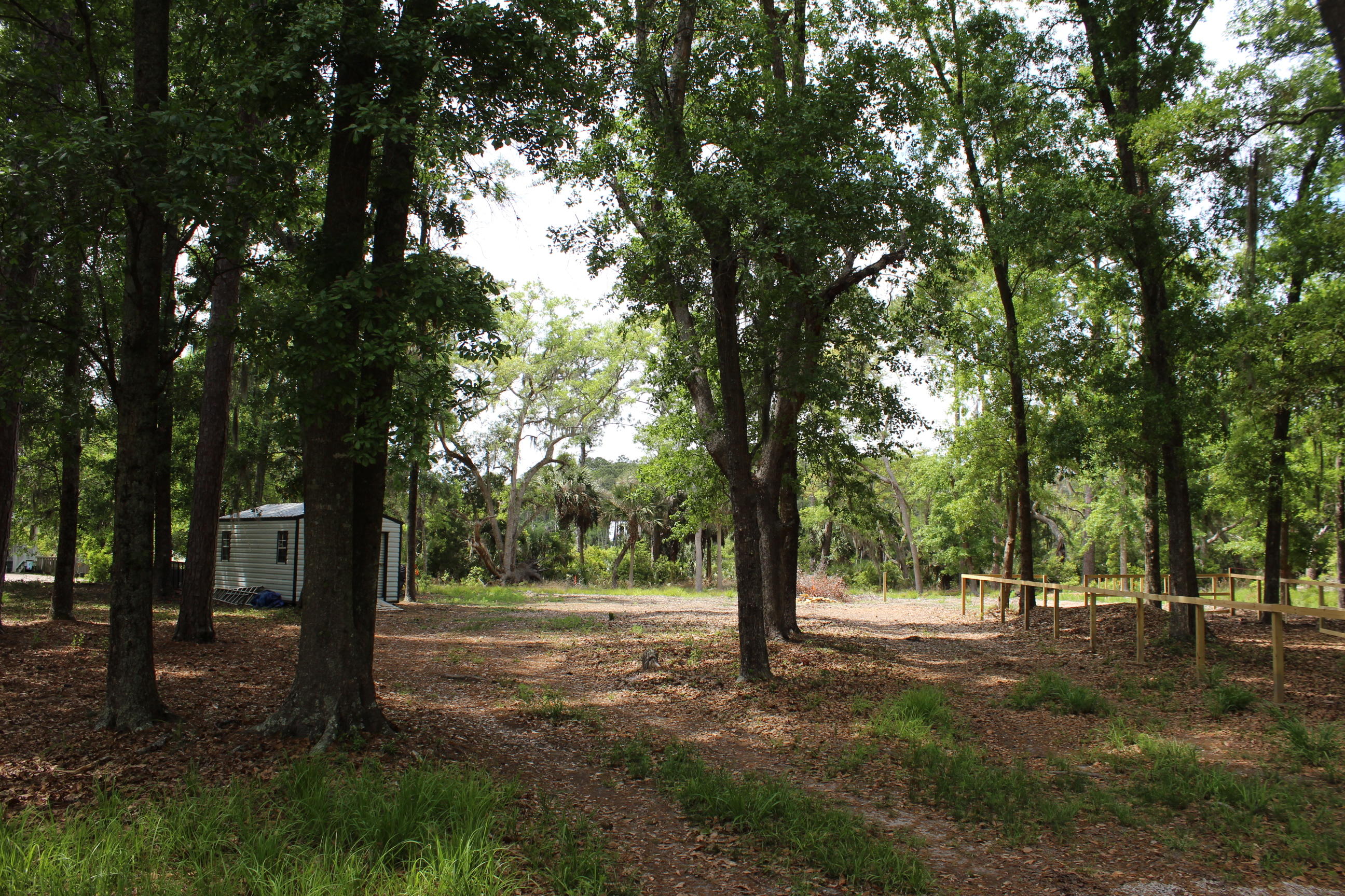 139 Cotton Bay Road Edisto Island, SC 29438 - Photo 11 of 13 IMG_5018