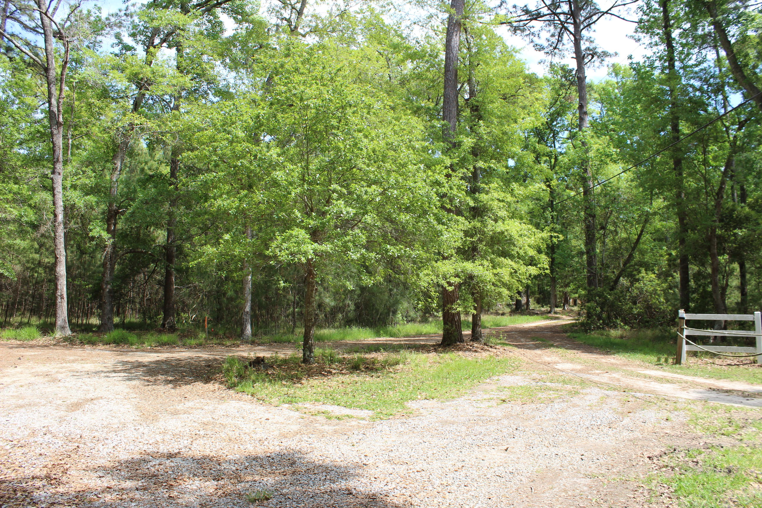 139 Cotton Bay Road Edisto Island, SC 29438 - Photo 3 of 13 IMG_5017