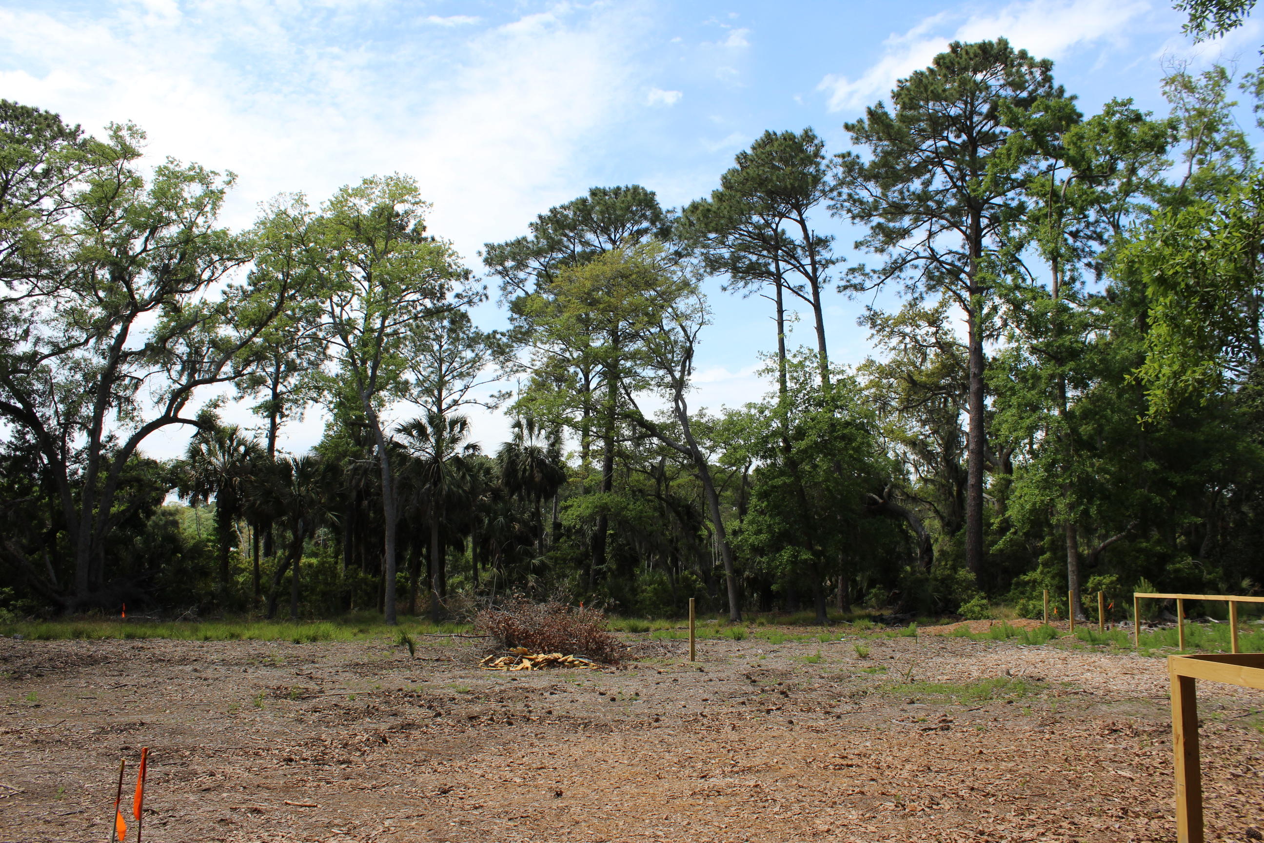 139 Cotton Bay Road Edisto Island, SC 29438 - Photo 4 of 13 IMG_5009