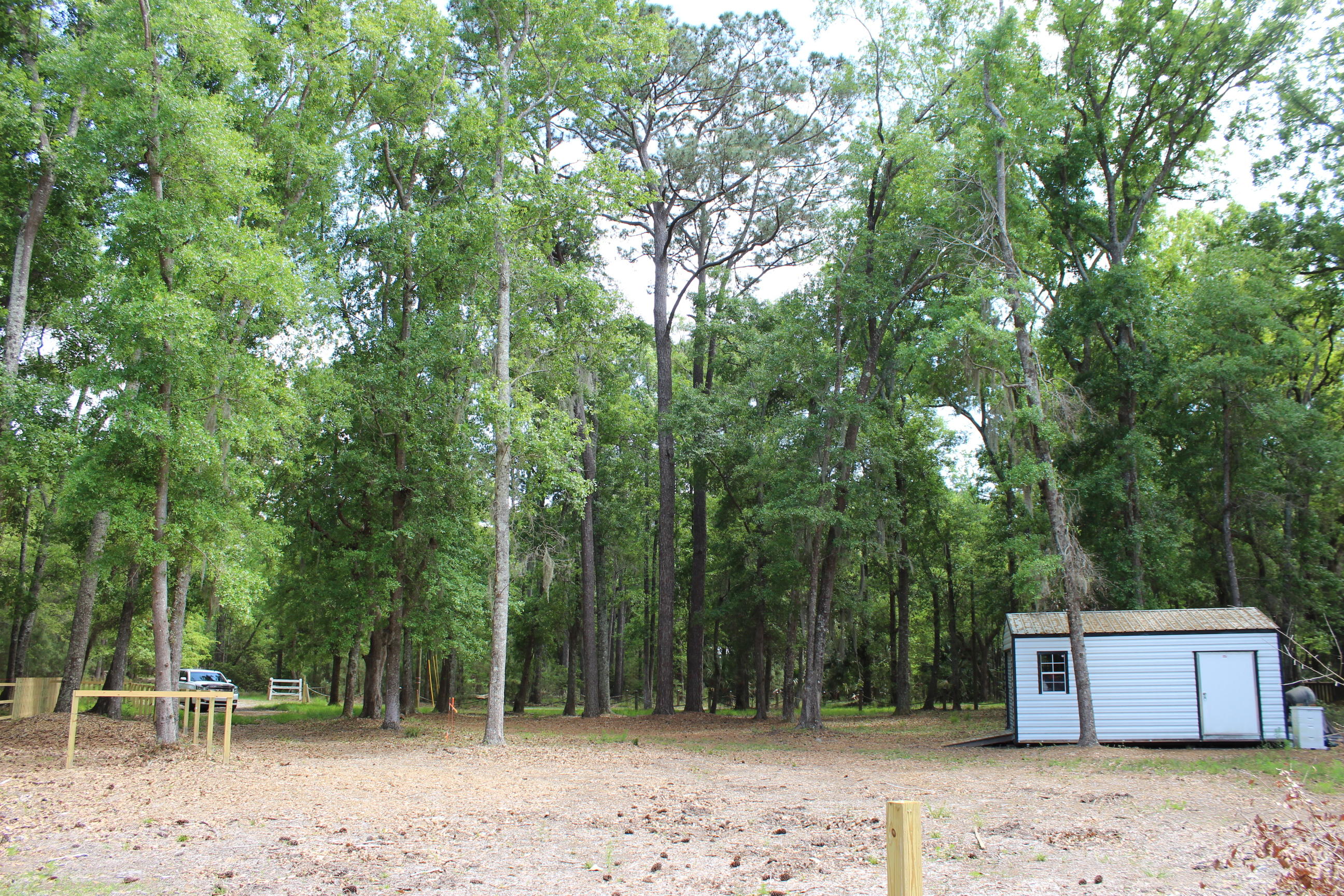 139 Cotton Bay Road Edisto Island, SC 29438 - Photo 5 of 13 IMG_5010