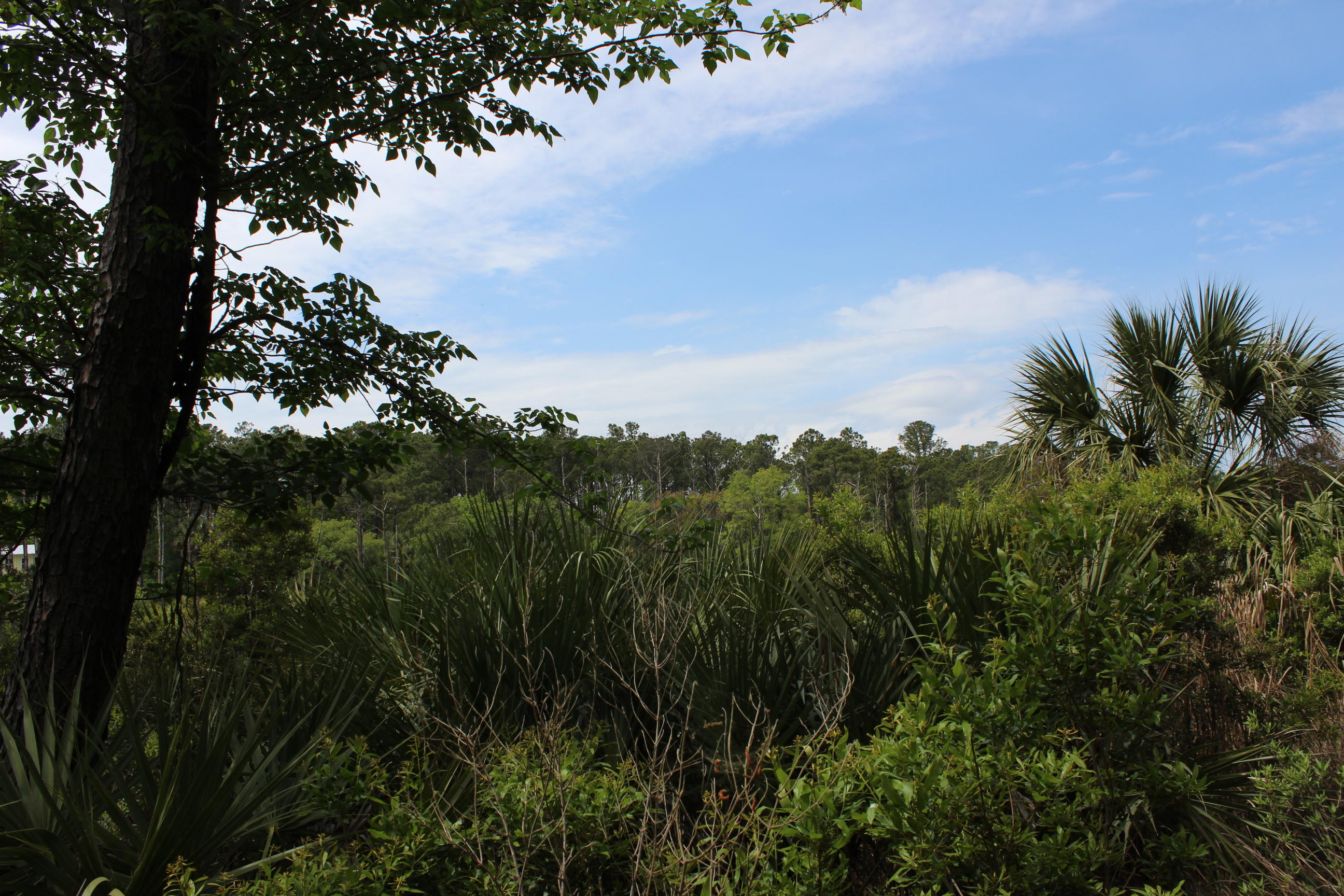 139 Cotton Bay Road Edisto Island, SC 29438 - Photo 7 of 13 IMG_5012