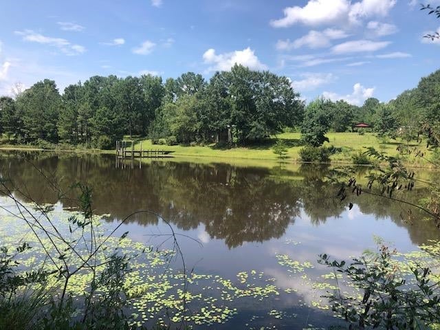 27410 Ealum Mill Road Red Level, AL 36474 - Photo 35 of 50 Gallery Image 35