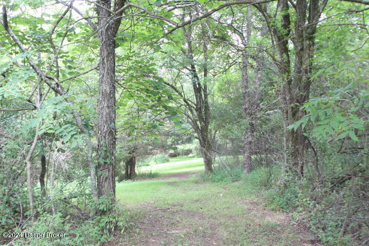 1001 Willisburg Road Lawrenceburg, KY 40342 - Photo 60 of 80 IMG_8482