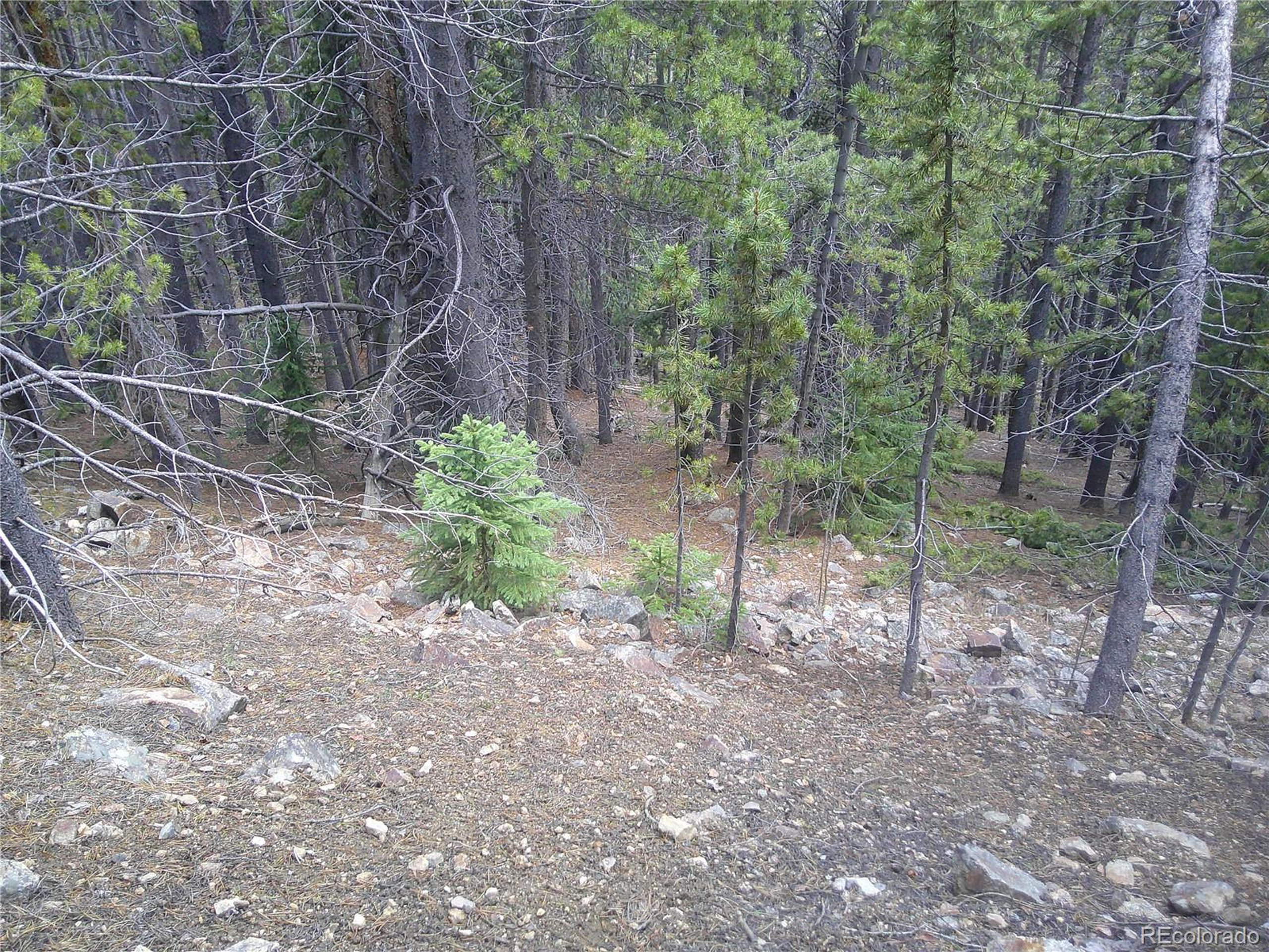441 Hillside Road Idaho Springs, CO 80452 - Photo 3 of 5 a backyard of a house with lots of green space