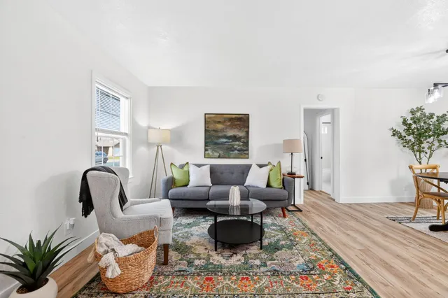 a living room with furniture or couch and a potted plant