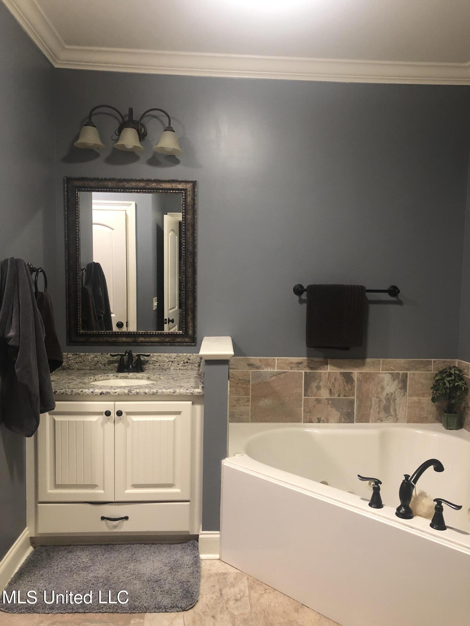 134 View Pointe Drive Clinton, MS 39056 - Photo 15 of 38 Master Bath 2