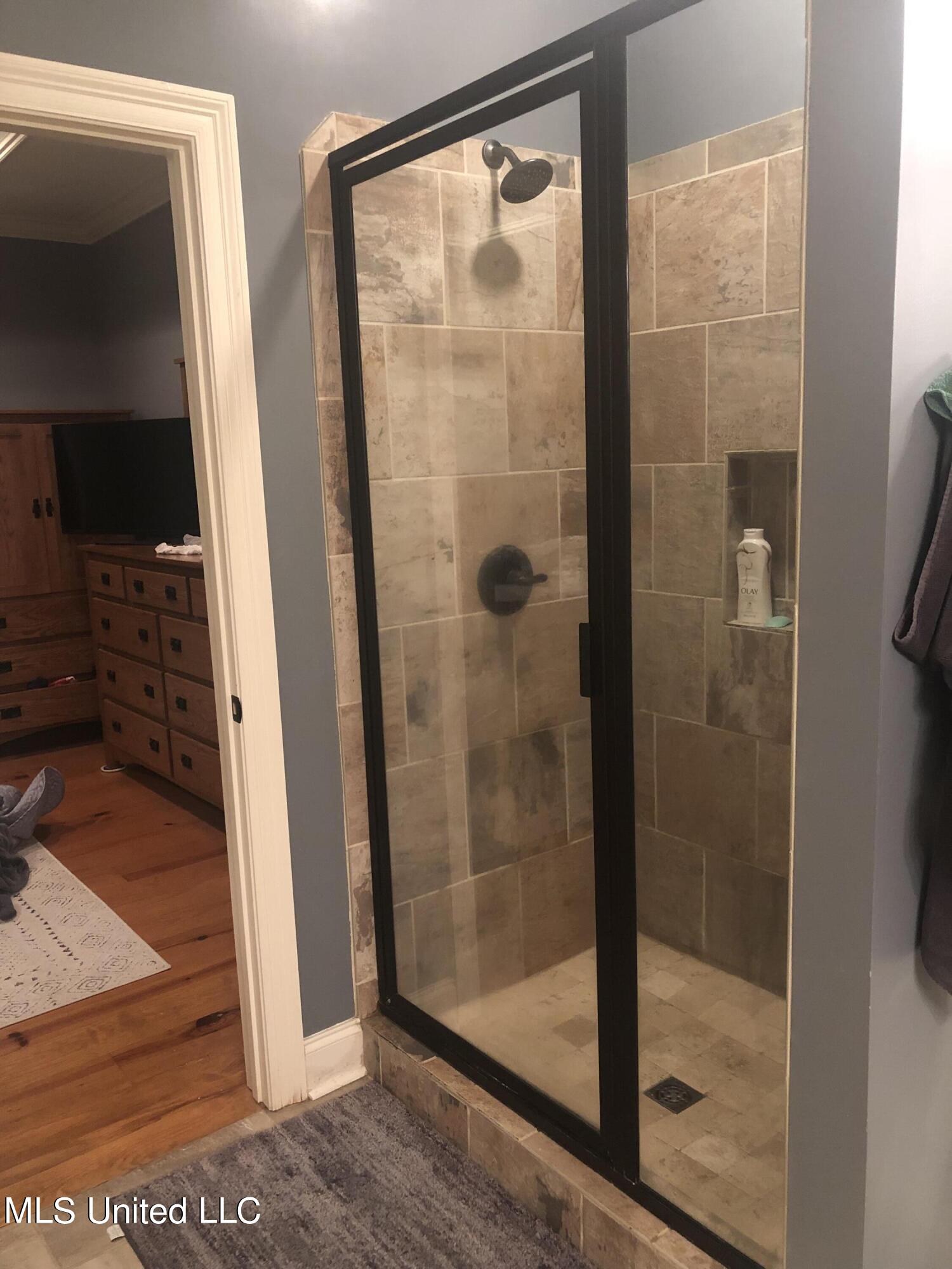134 View Pointe Drive Clinton, MS 39056 - Photo 16 of 38 Masster Shower 1