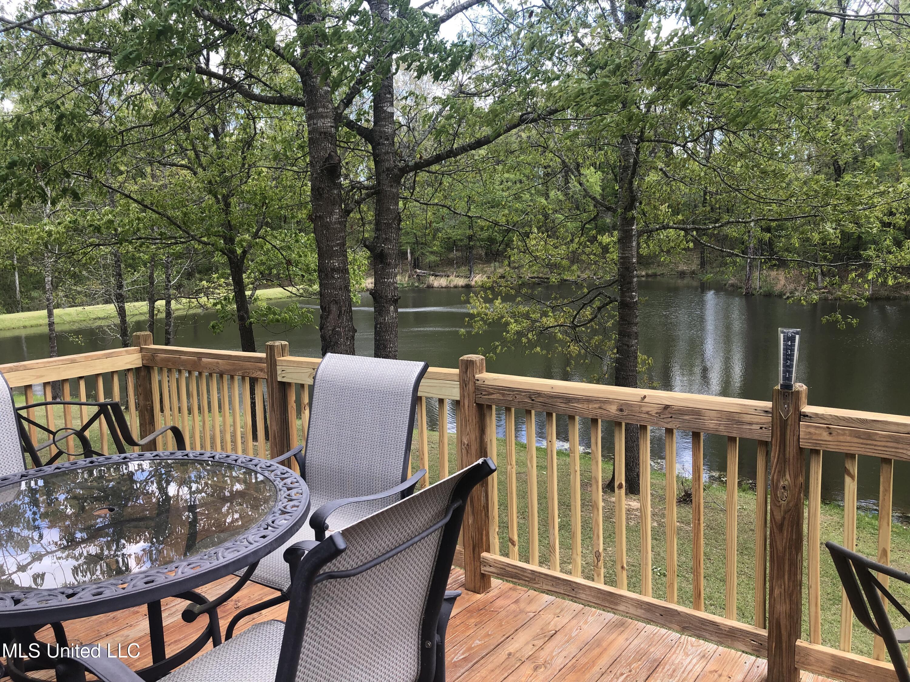 134 View Pointe Drive Clinton, MS 39056 - Photo 23 of 38 Pond View 1
