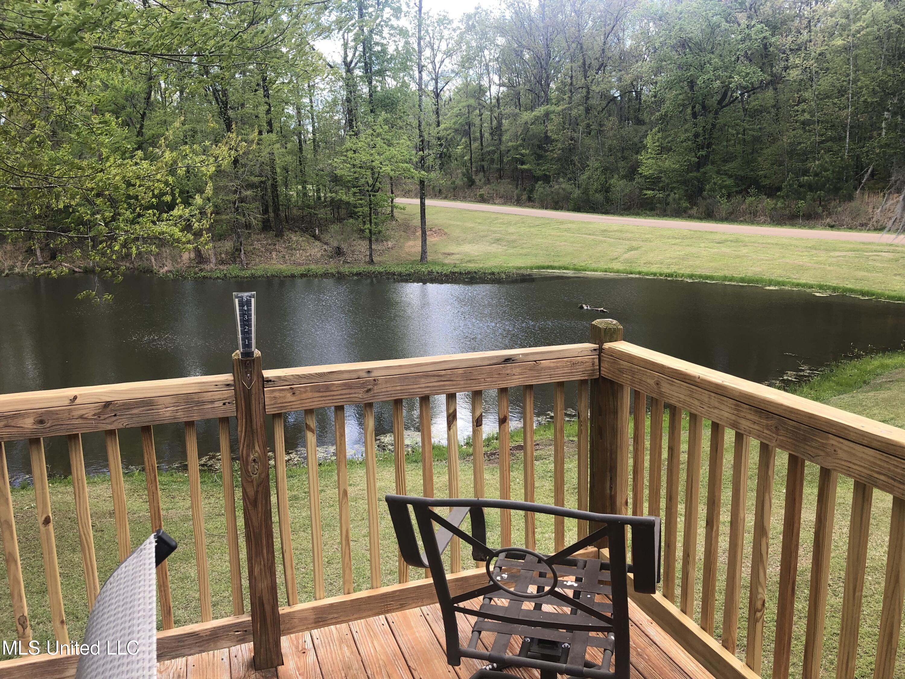 134 View Pointe Drive Clinton, MS 39056 - Photo 24 of 38 Pond View 2