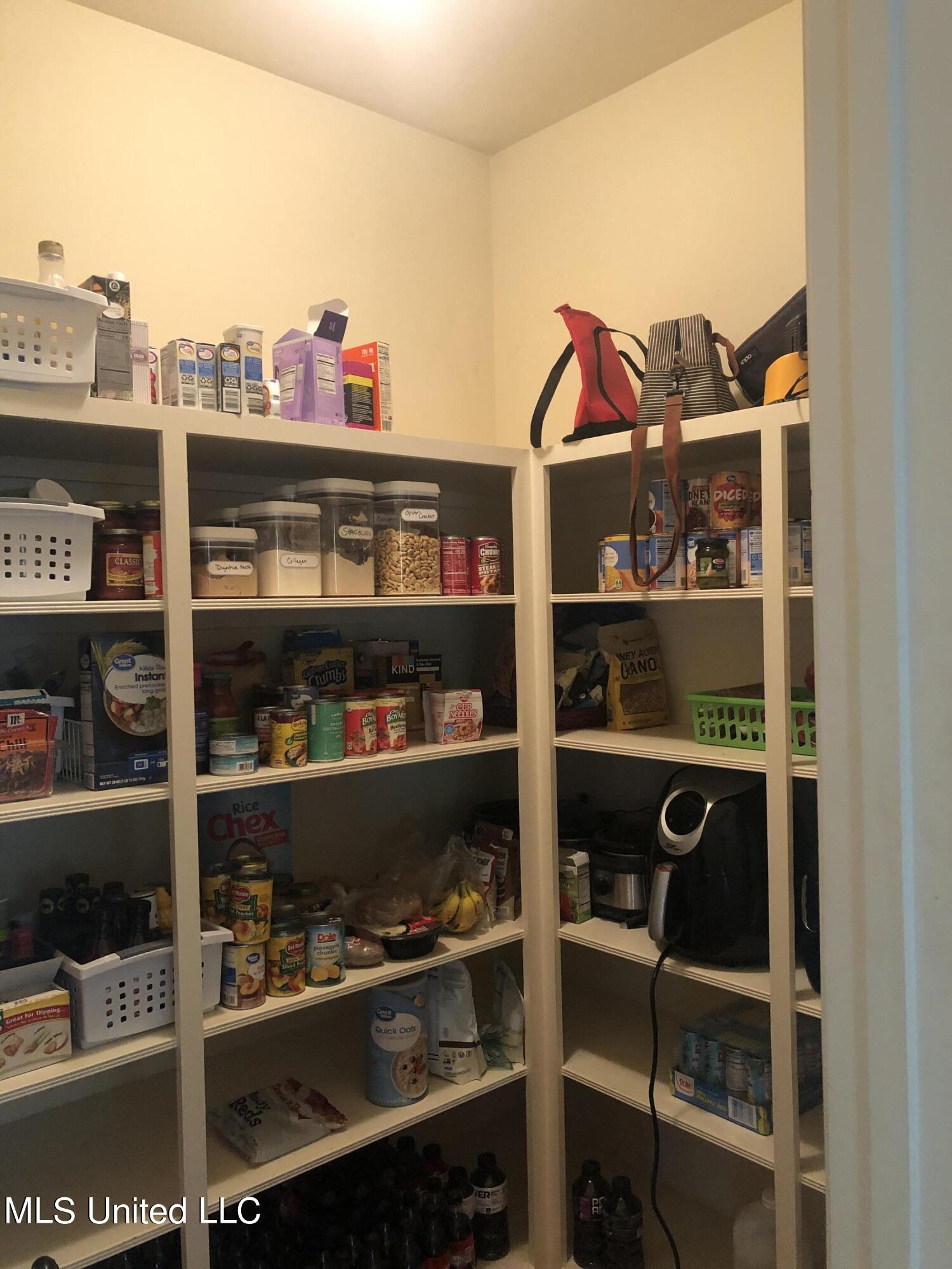 134 View Pointe Drive Clinton, MS 39056 - Photo 31 of 38 Pantry