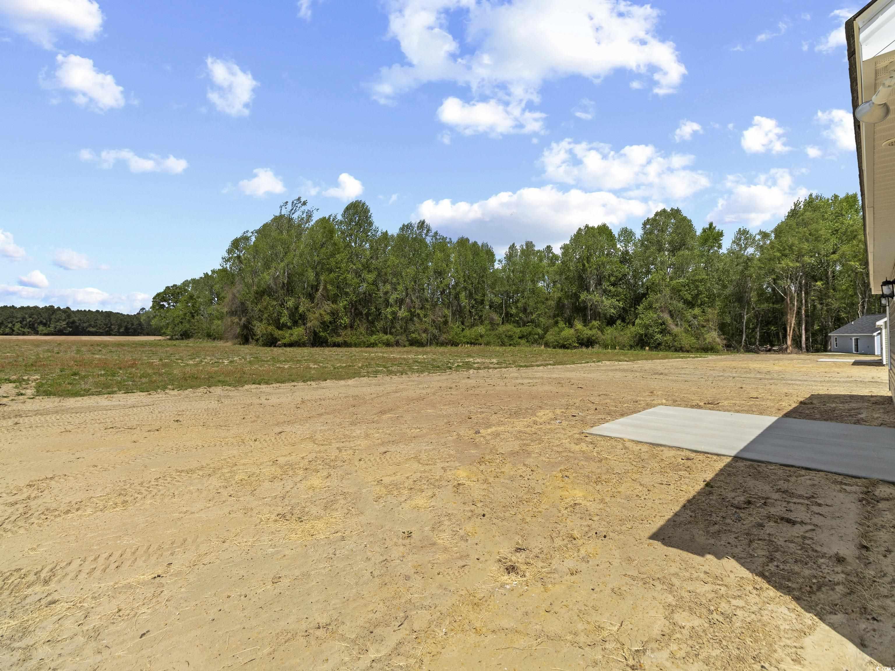 3427 B And S Road Loris, SC 29569 - Photo 4 of 33 View of yard