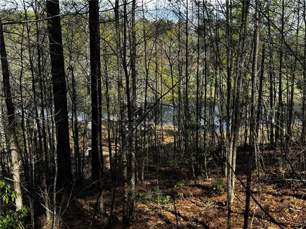 $80,000 | Hr83 Briarberry Court, Salem, SC 29676